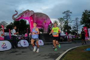 BIB: 
                            <button type="button" onclick="openModal(26529513)" class="btn btn-primary btn-sm float-right btn-popup" data-toggle="modal" data-target=".modal-high-quality">
                        <i class="fas fa-shopping-cart"></i> Add to Cart
                    </button>
                                            <button type="button" onclick="isThisMe(26529513, true)" class="btn btn-success btn-sm float-right btn-popup btn-isme hidden" data-toggle="tooltip" data-placement="bottom" title="นี่คือรูปของคุณใช่ไหม คลิกที่นี่เพื่อเอาเข้าอัลบั้ม">
                        <i class="fas fa-plus"></i> Add to album
                    </button>
                    <button type="button" onclick="isThisMe(26529513, false)" class="btn btn-warning btn-sm float-right btn-popup btn-isnotme hidden">
                        <i class="fas fa-ban"></i> Remove from album
                    </button>